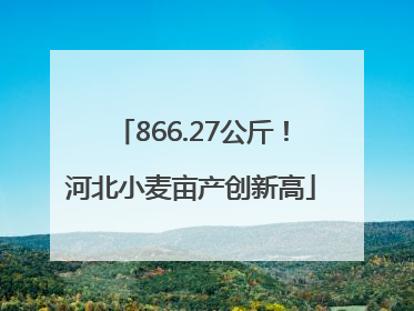 866.27公斤！河北小麦亩产创新高