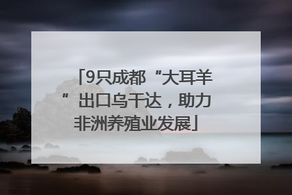9只成都“大耳羊”出口乌干达，助力非洲养殖业发展