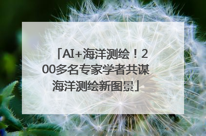 AI+海洋测绘！200多名专家学者共谋海洋测绘新图景