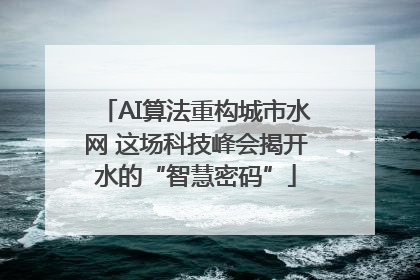 AI算法重构城市水网 这场科技峰会揭开水的“智慧密码”