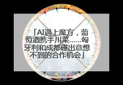 AI遇上魔方，葡萄酒携手川菜……匈牙利和成都碰出意想不到的合作机会