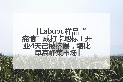 Labubu样品“痛墙”成打卡地标！开业4天已被挤爆，堪比早高峰菜市场